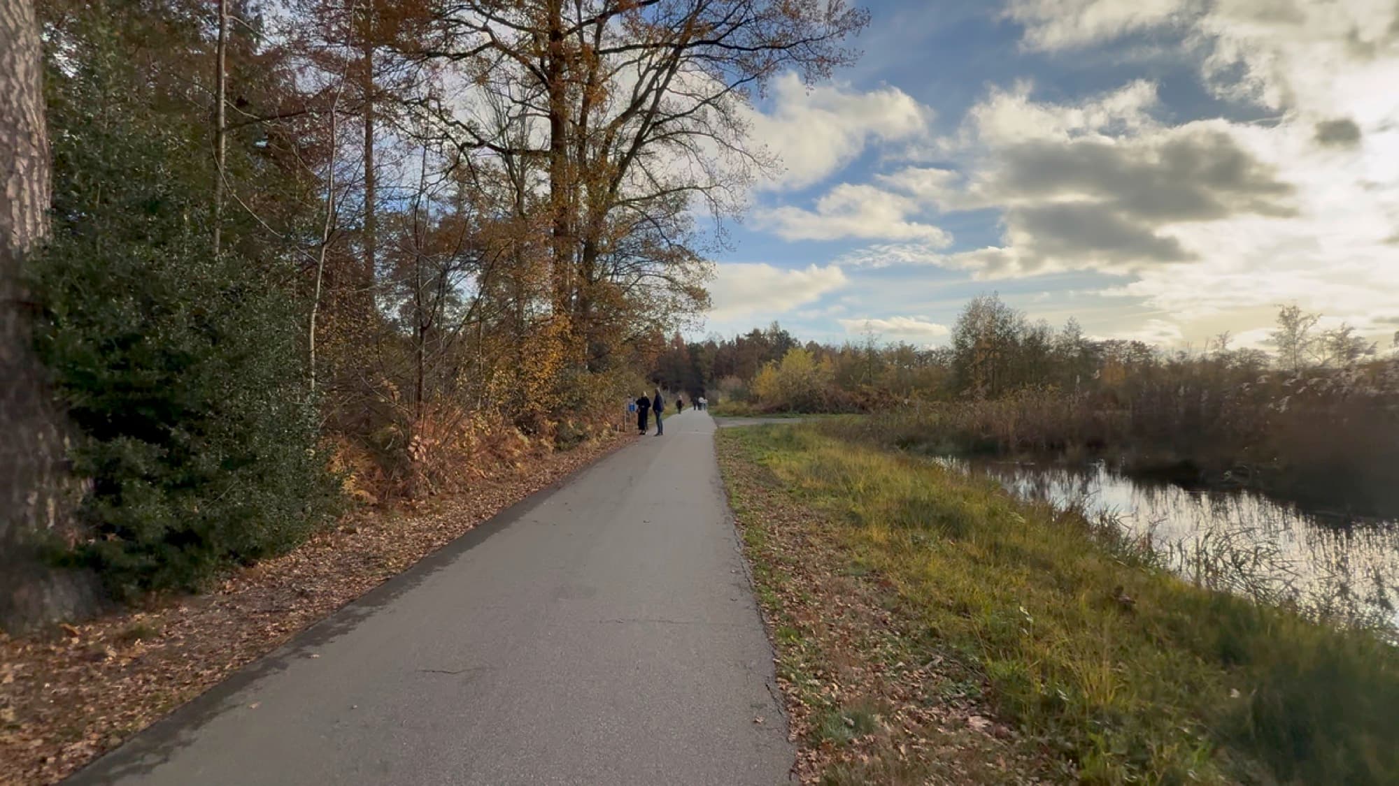 Paved path beside the ponds through autumn forest at De Wijers, Bokrijk