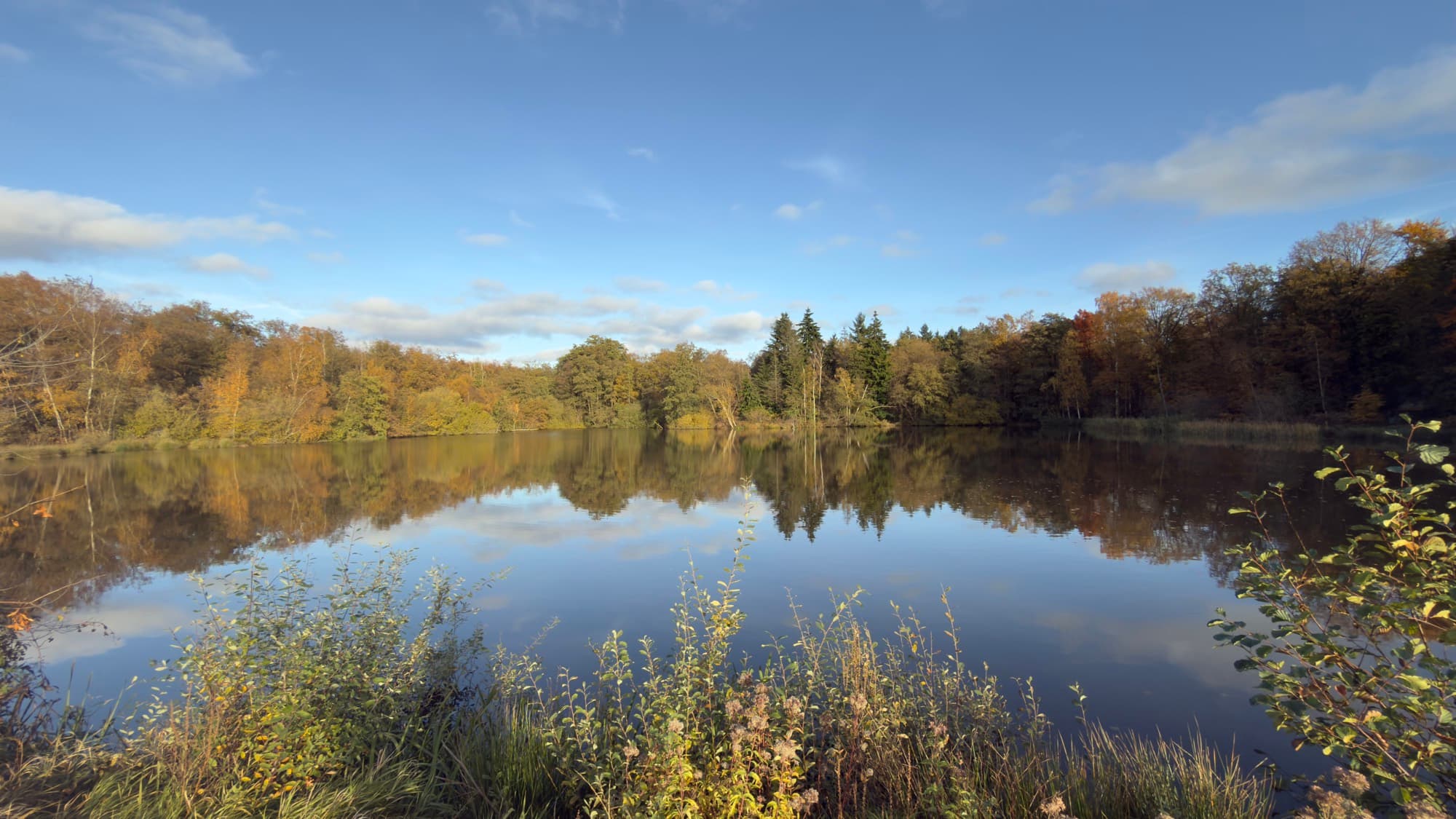 Autumn pond panorama with blue sky reflections, De Wijers