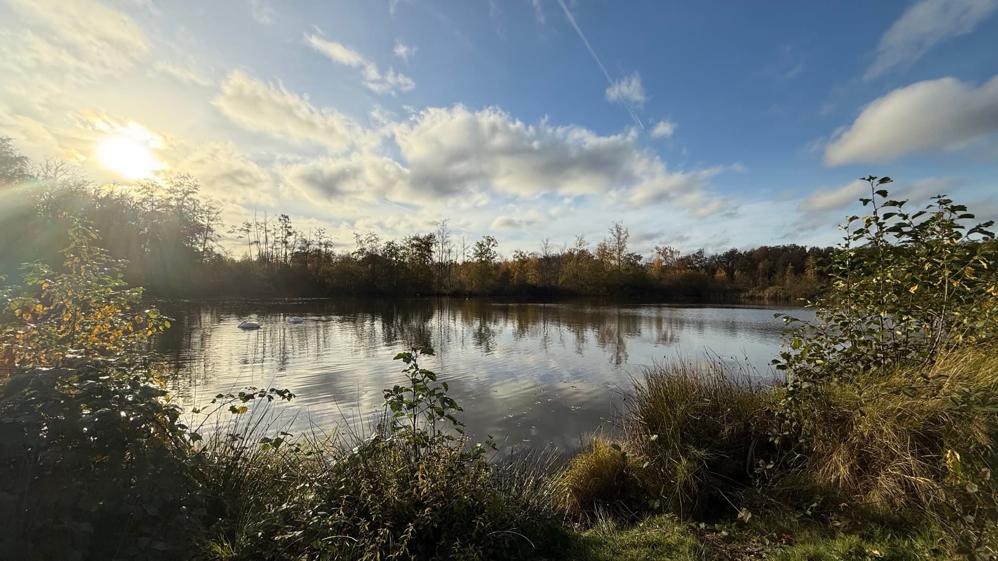 Sun flare over an autumn pond at De Wijers
